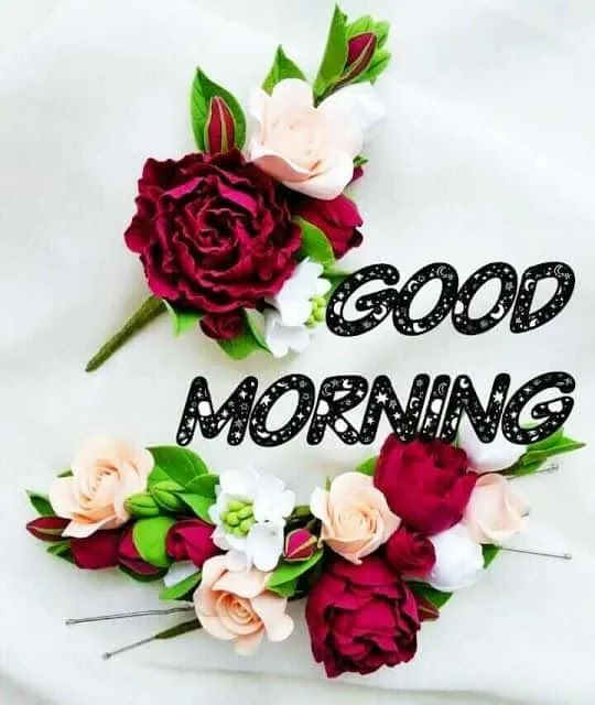 good-morning-love-images-8 Good Morning Love images