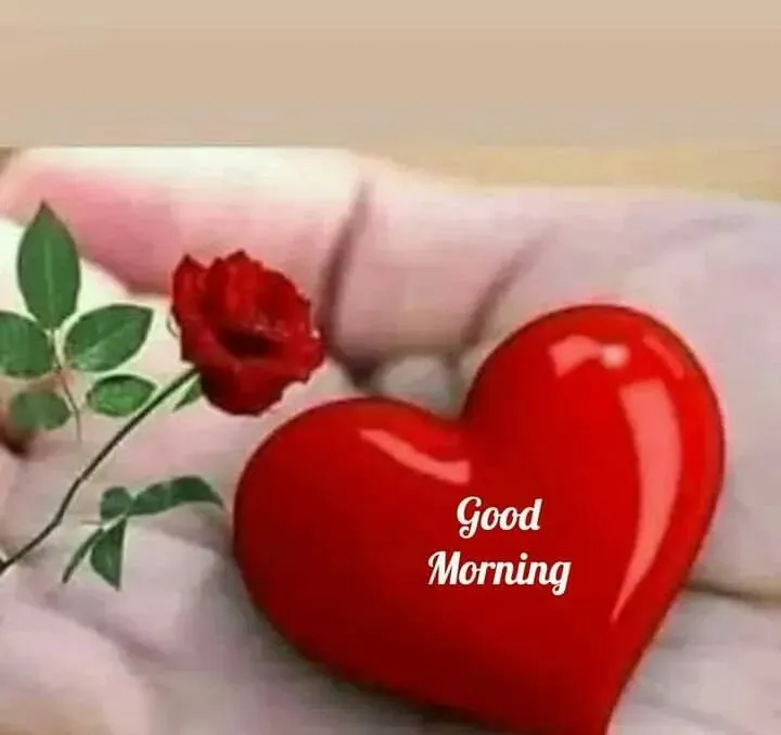 good-morning-love-pictures-11 Good Morning Love pictures