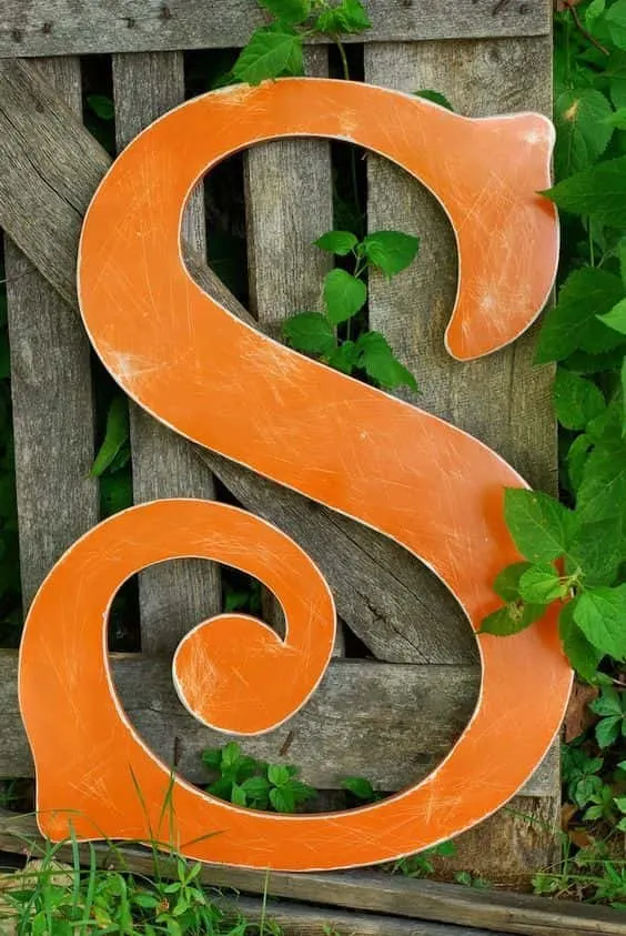 S Name Image