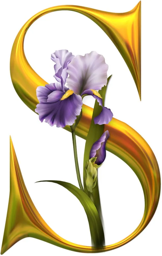 Stylish Images Of Letter S