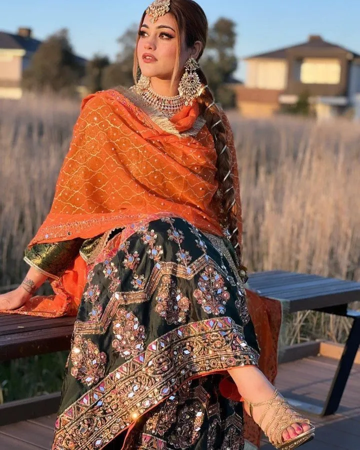 Stylish Punjabi Girl Pic